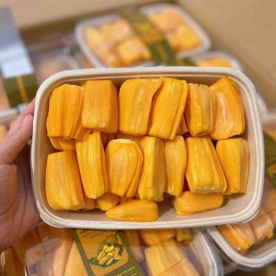 frozen jackfruit